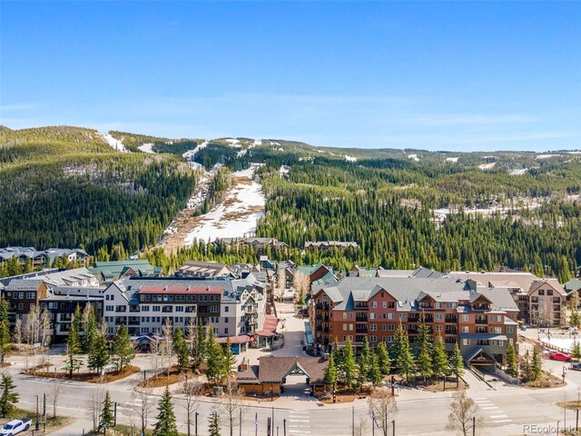 240 Tennis Club Rd Unit 1677, Dillon, CO 80435 - photo 45