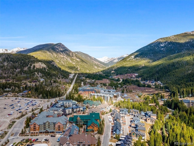 240 Tennis Club Rd Unit 1677, Dillon, CO 80435 - photo 47
