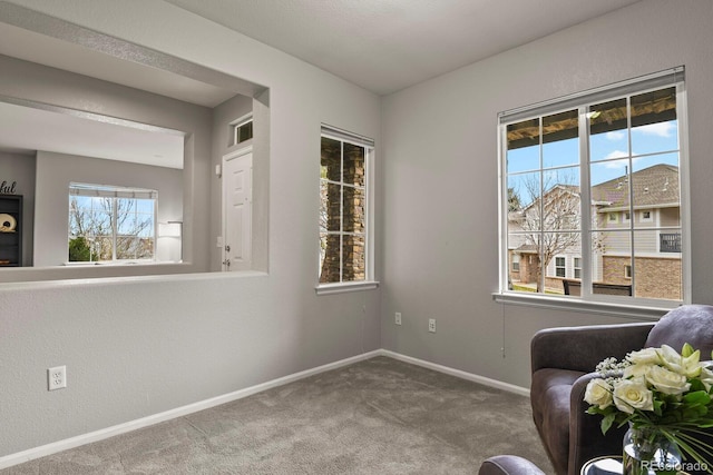 sitting room featuring carpet floors