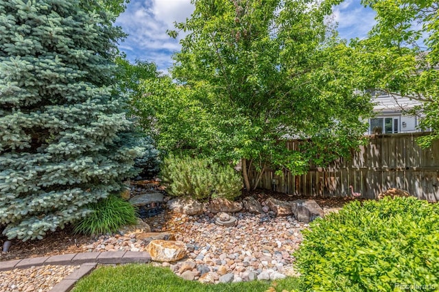 14258 Greenfield Loop, Parker, CO 80134 - view of yard