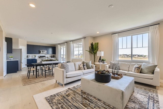 living room with light wood-type flooring and a wealth of natural light