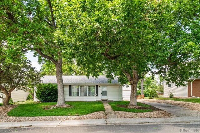 2571 S Birch St, Denver, CO 80222 - view of front of property featuring concrete driveway and a front lawn