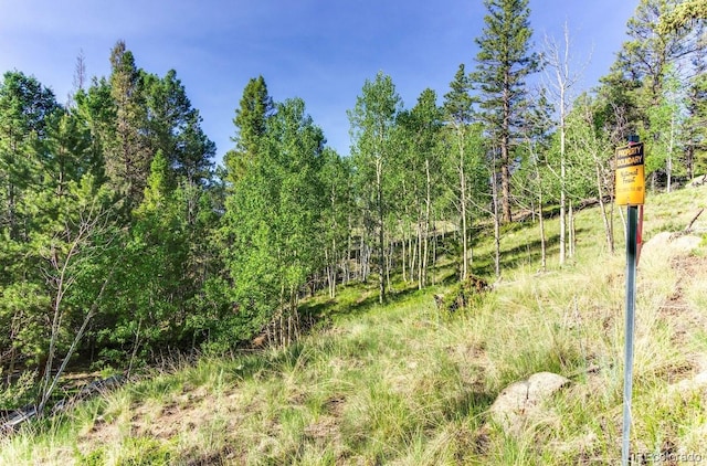 183 Cheyenne Trl, Lake George, CO 80827 - photo 1