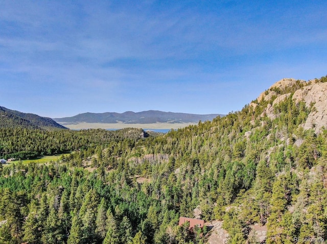 183 Cheyenne Trl, Lake George, CO 80827 - photo 2
