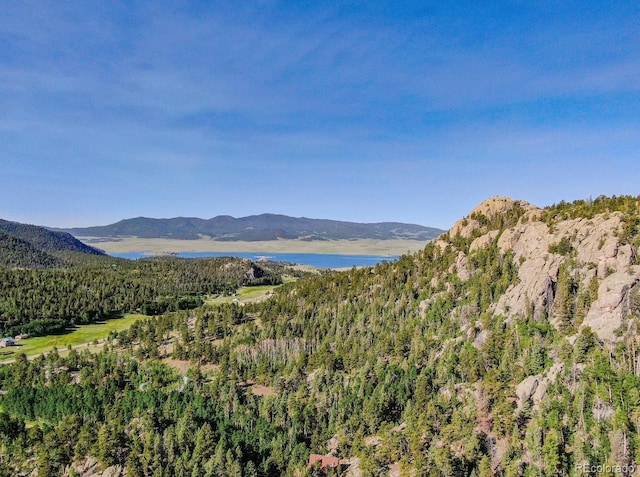 183 Cheyenne Trl, Lake George, CO 80827 - photo 3