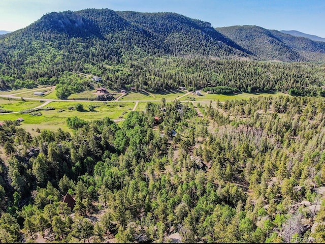 183 Cheyenne Trl, Lake George, CO 80827 - photo 4