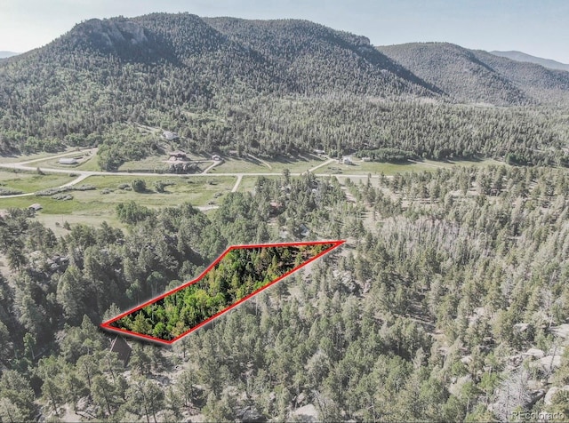 183 Cheyenne Trl, Lake George, CO 80827 - photo 5