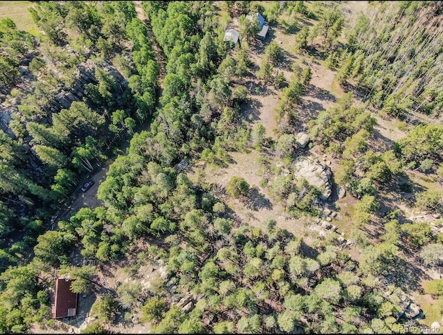 183 Cheyenne Trl, Lake George, CO 80827 - photo 6