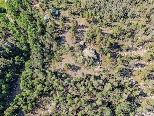 183 Cheyenne Trl, Lake George, CO 80827 - photo 7