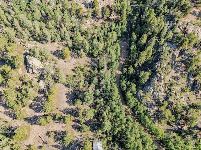 183 Cheyenne Trl, Lake George, CO 80827 - photo 8