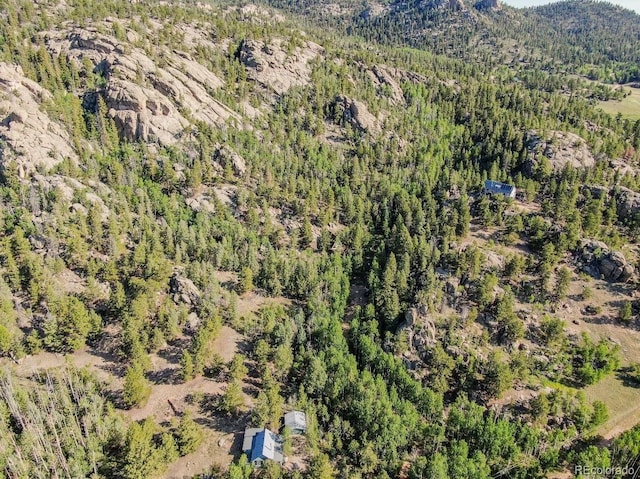 183 Cheyenne Trl, Lake George, CO 80827 - photo 10