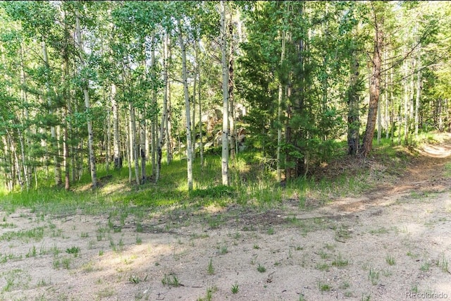 183 Cheyenne Trl, Lake George, CO 80827 - photo 11