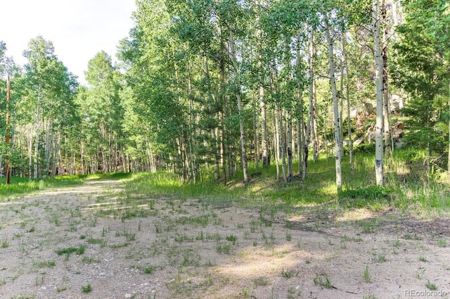183 Cheyenne Trl, Lake George, CO 80827 - photo 12