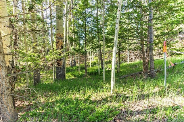 183 Cheyenne Trl, Lake George, CO 80827 - photo 13