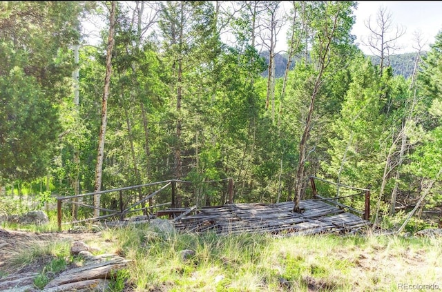183 Cheyenne Trl, Lake George, CO 80827 - photo 14