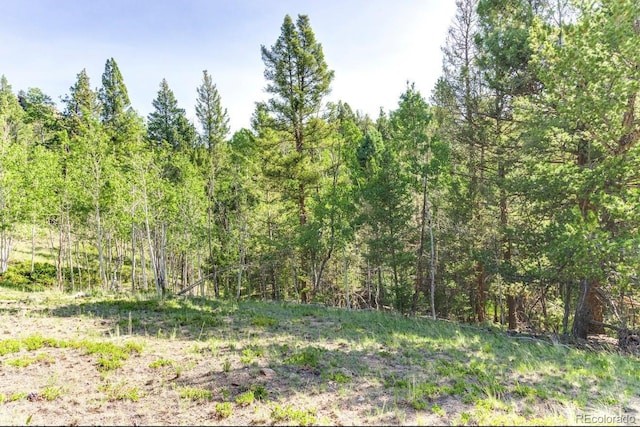 183 Cheyenne Trl, Lake George, CO 80827 - photo 15