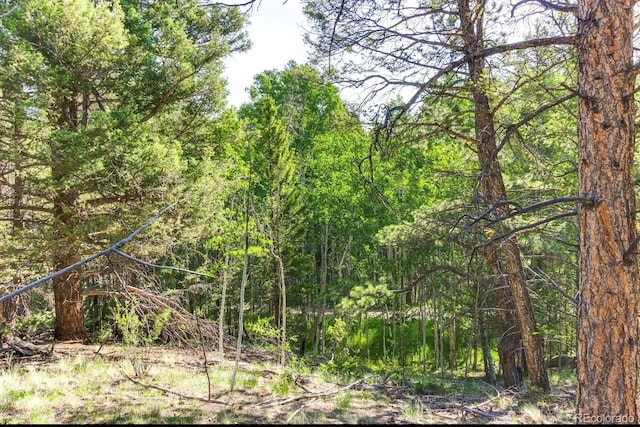 183 Cheyenne Trl, Lake George, CO 80827 - photo 16
