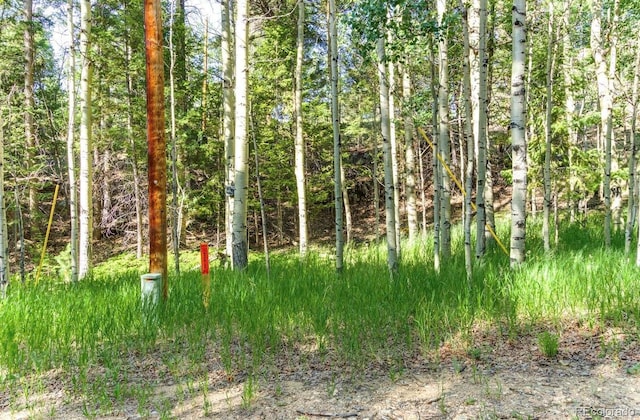 183 Cheyenne Trl, Lake George, CO 80827 - photo 18