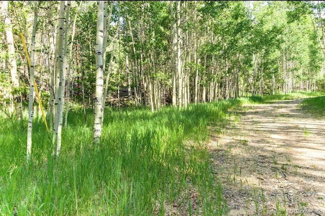 183 Cheyenne Trl, Lake George, CO 80827 - photo 19