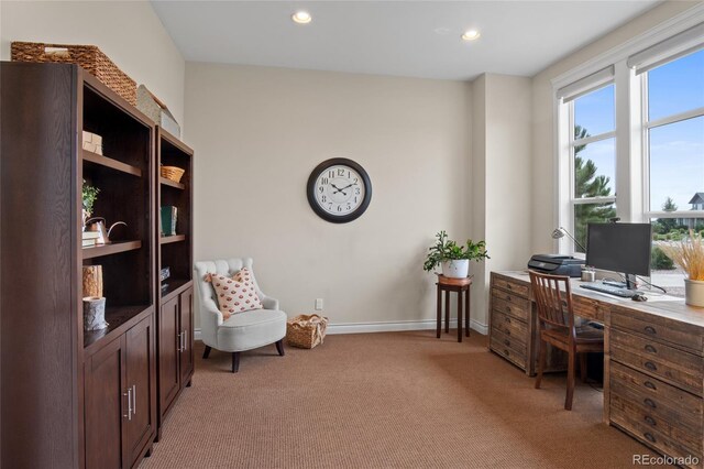 7001 Weaver Cir, Castle Rock, CO 80104 - photo 5