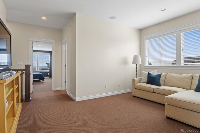 7001 Weaver Cir, Castle Rock, CO 80104 - photo 23
