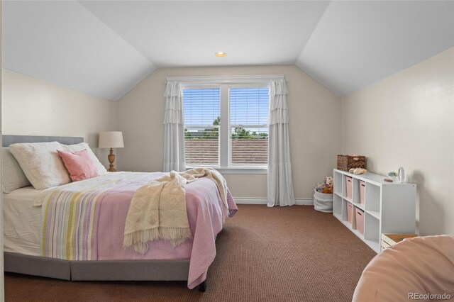 7001 Weaver Cir, Castle Rock, CO 80104 - photo 26