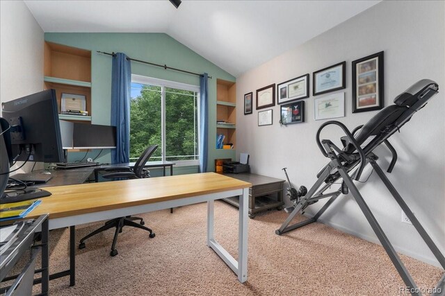 5370 S Gray St, Littleton, CO 80123 - office space with vaulted ceiling and carpet flooring