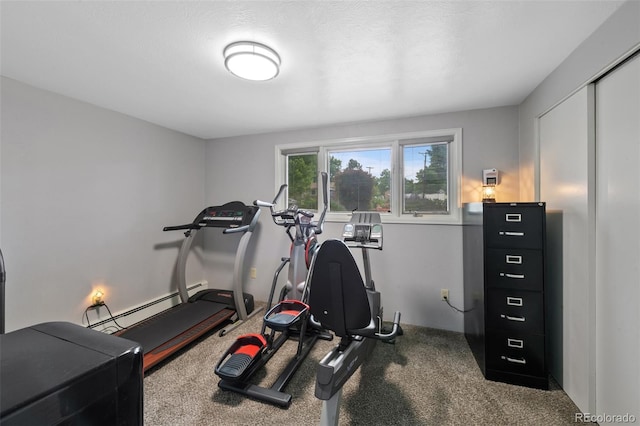 2633 Summit Dr, Colorado Springs, CO 80909 - exercise area with carpet
