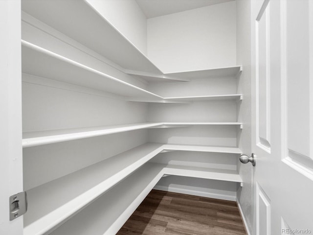 4635 Goldflower Dr, Johnstown, CO 80534 - view of pantry