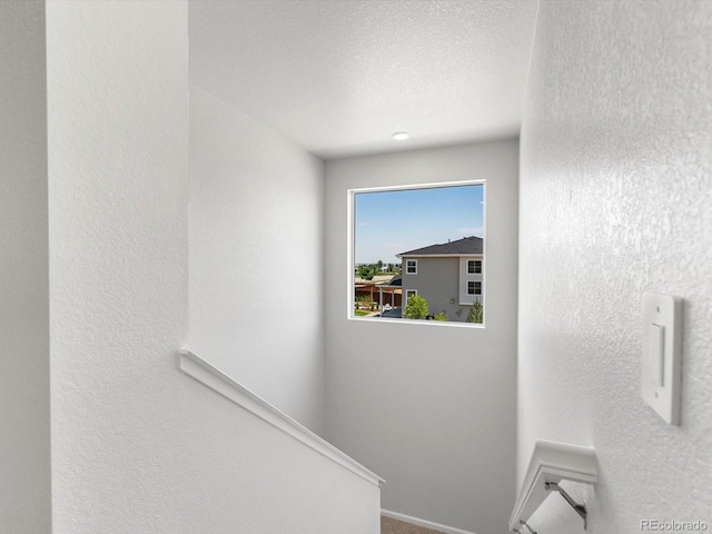 4635 Goldflower Dr, Johnstown, CO 80534 - stairway with a textured wall and a textured ceiling