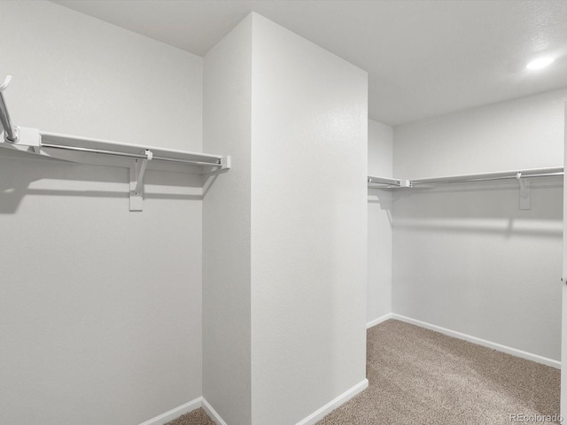 4635 Goldflower Dr, Johnstown, CO 80534 - walk in closet with carpet flooring