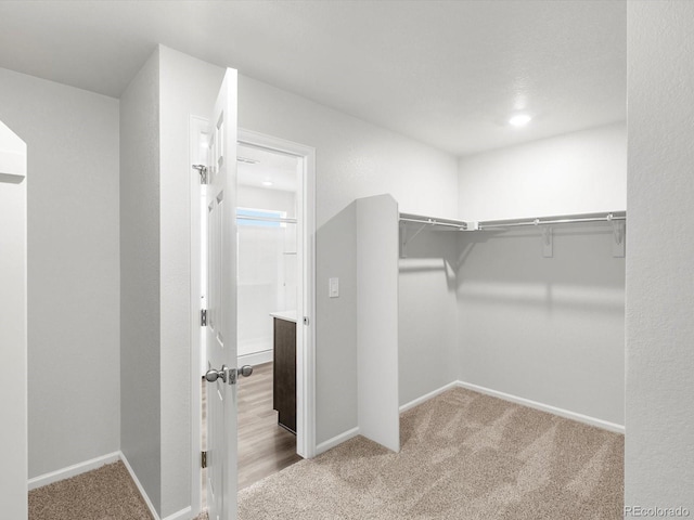 4635 Goldflower Dr, Johnstown, CO 80534 - walk in closet with carpet