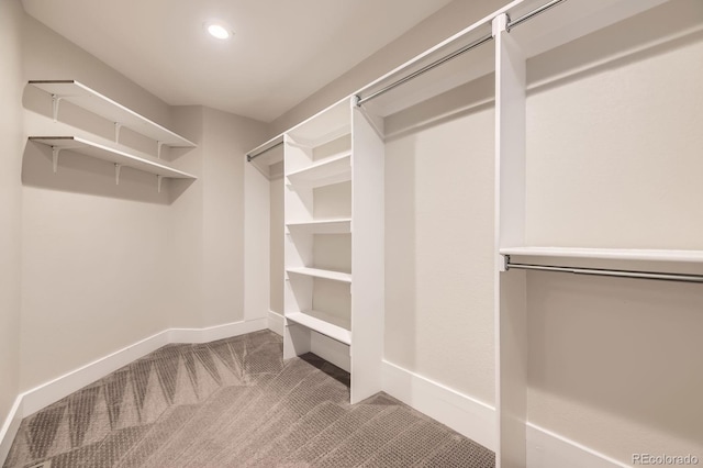 2442 S Bannock St, Denver, CO 80223 - walk in closet with carpet floors