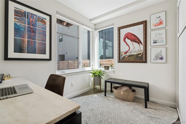 office area featuring baseboards and carpet flooring