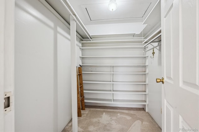 walk in closet featuring light carpet