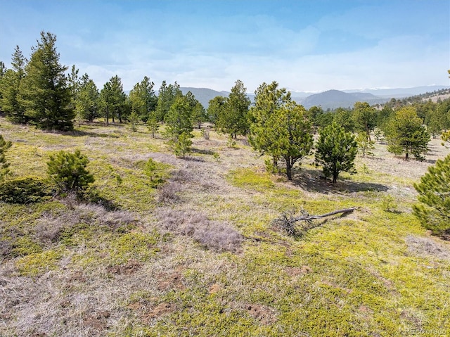 1713 Lost Angel Rd, Boulder, CO 80302