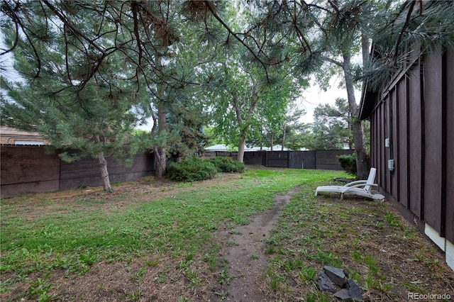 1703 W Weaver Ave, Littleton, CO 80120 - view of yard