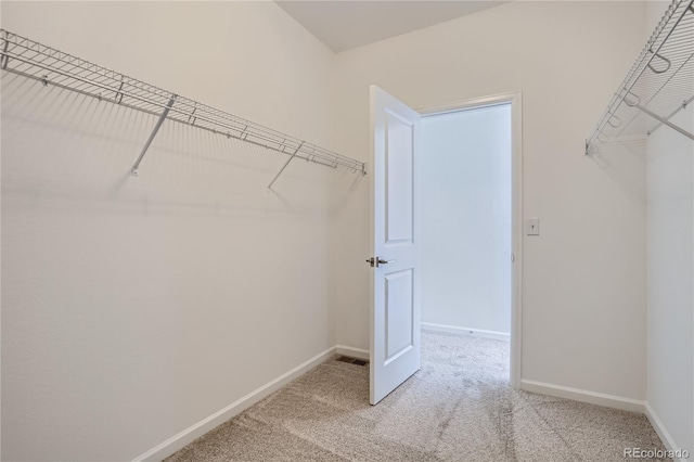 walk in closet featuring carpet flooring