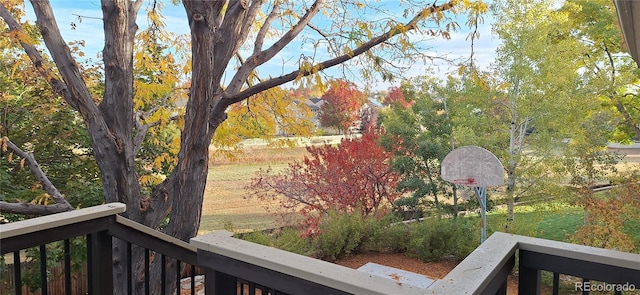 13837 W 59th Pl, Arvada, CO 80004 - view of yard with a balcony