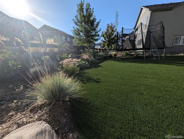 view of yard with a trampoline