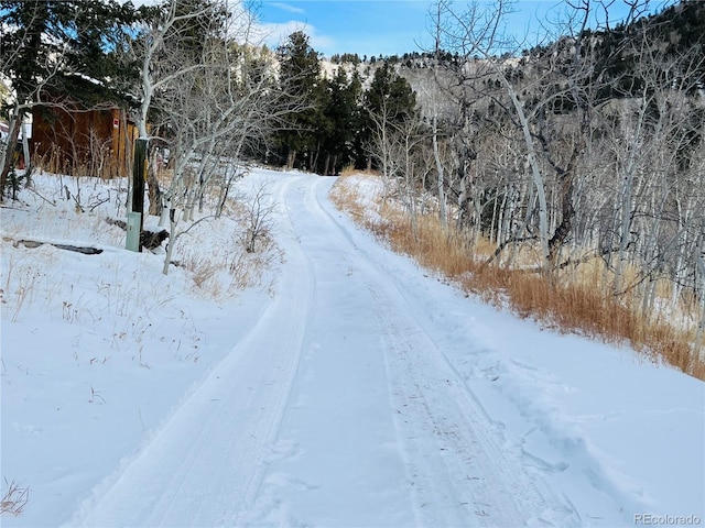 Listing photo 3 for 112 Mule Deer Trl, Idaho Springs CO 80452