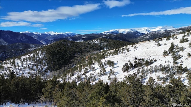 112 Mule Deer Trl, Idaho Springs CO, 80452 land for sale