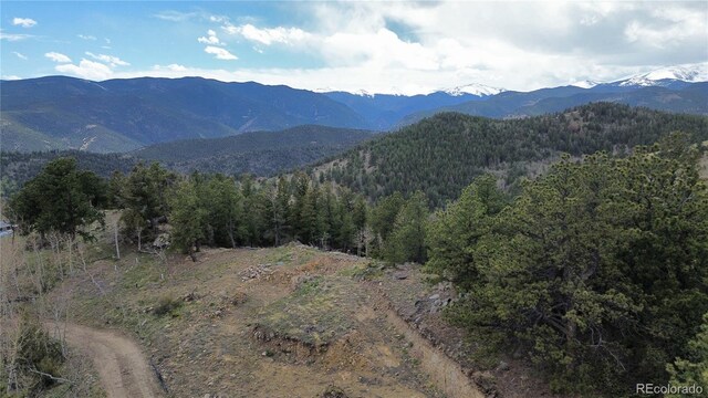 112 Mule Deer Trl, Idaho Springs, CO 80452