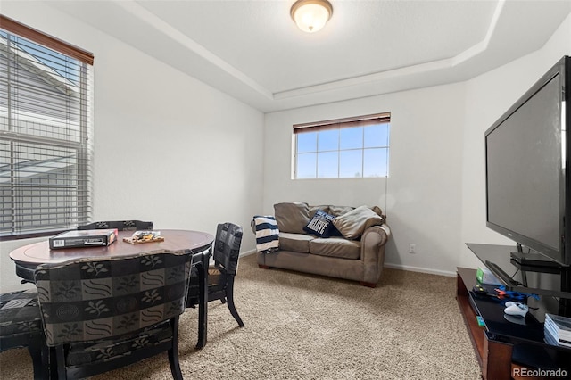 4894 Cathay Ct, Denver, CO 80249 - photo 4