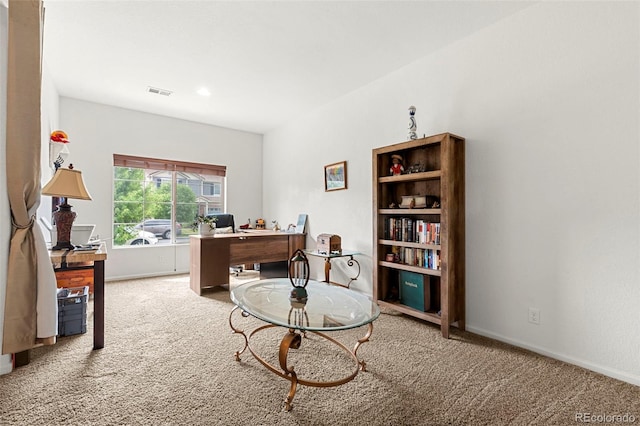 4894 Cathay Ct, Denver, CO 80249 - photo 10