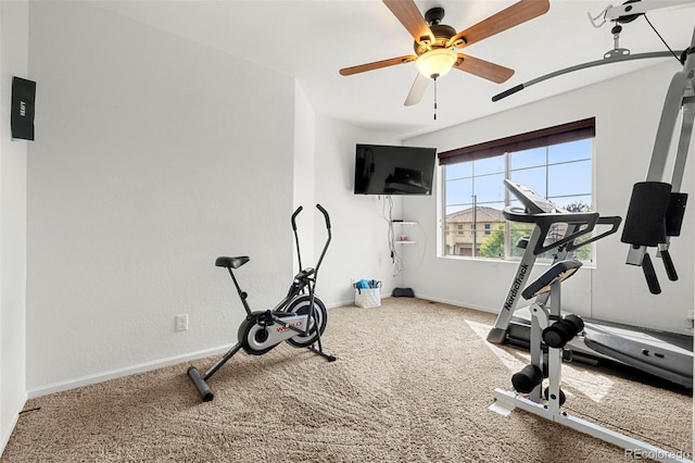 4894 Cathay Ct, Denver, CO 80249 - photo 20