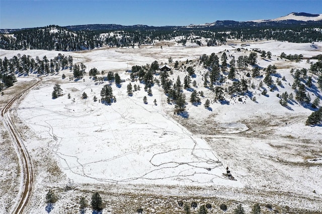 snowy aerial view with a mountain view