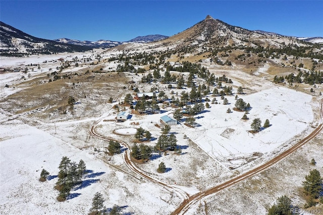 birds eye view of property featuring a mountain view