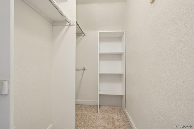 351 Bannock St, Denver, CO 80223 - walk in closet featuring carpet