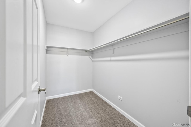 610 S Alton Way Unit 7C, Denver, CO 80247 - walk in closet featuring carpet